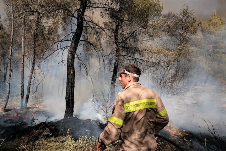 Βάλια Κάλντα: Για 12η ημέρα συνεχίζει να καίγεται ο εθνικός δρυμός - Κάηκε το μισό Εθνικό Πάρκο της Δαδιάς