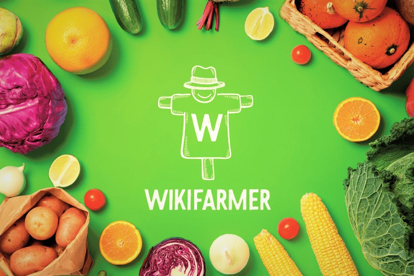 Wikifarmer: Η ελληνική startup που ο ΟΗΕ χαρακτηρίζει «Wikipedia των αγροτών»